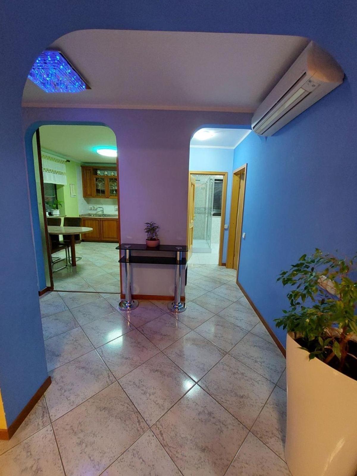 Apartma Mimi Dekani Bagian luar foto